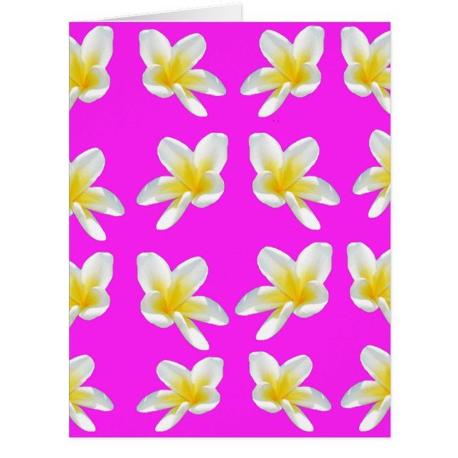 Gelbe Frangipanis auf Rosa, (Vorderseite)