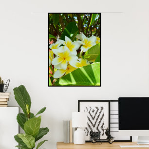 Gelbe Frangipanis, die auf einem Baum wachsen, Poster