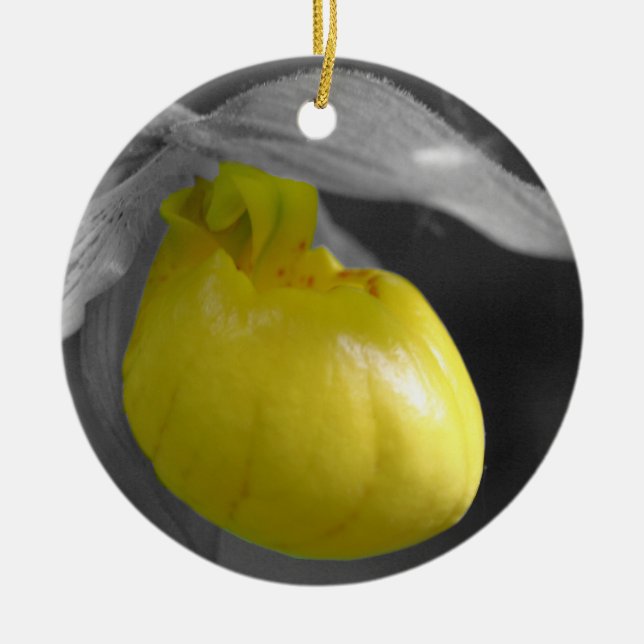 Gelbe Frauenschuh BW-Blumen-Verzierung Keramik Ornament (Vorne)