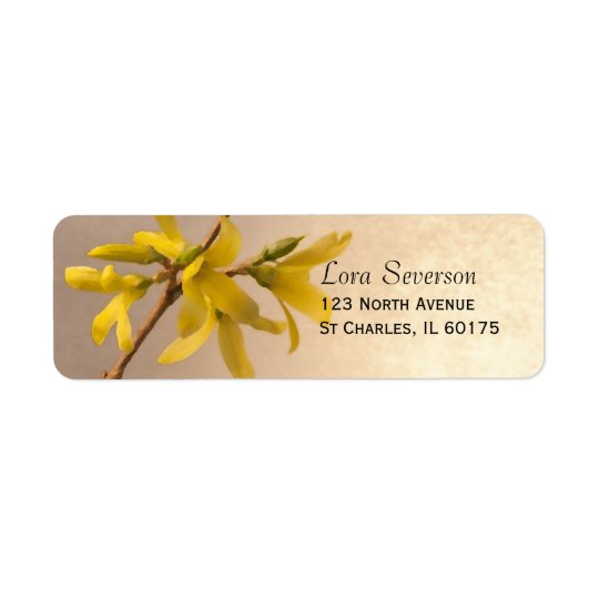 Gelbe Frühlingforsythia-Blumen-Rücksendeadresse