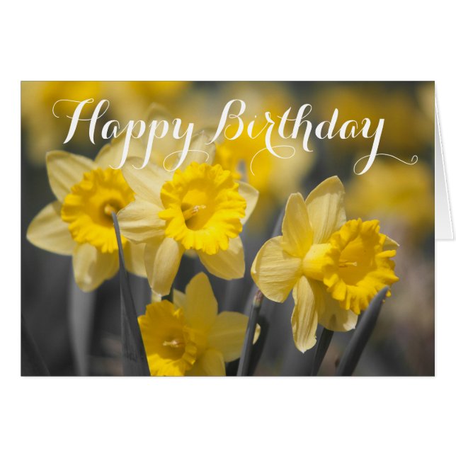 Gelbe Frühlingsblumen | Daffodische Grußkarte (Vorderseite (Horizontal))