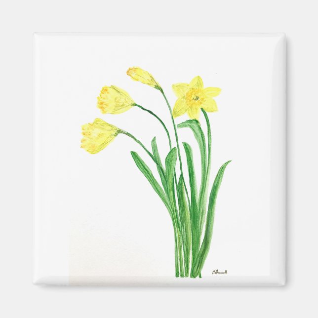 Gelbe Frühlingsblütenfarbe Narzissen Blume Magnet (Vorne)