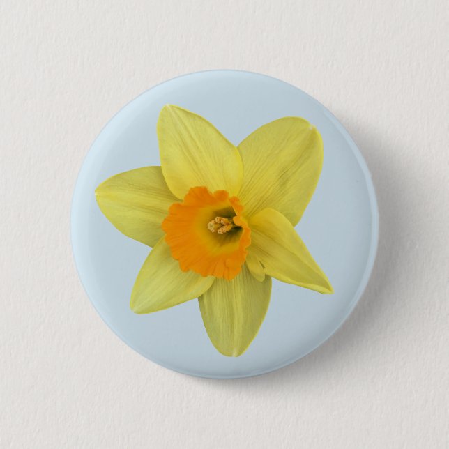 Gelbe Frühlingsdaffodien auf blass blau Button (Vorderseite)