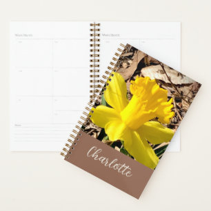 Gelbe Frühlingsdaffodil im Garden-Individuelle Nam Planer