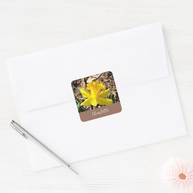 Gelbe Frühlingsdaffodil im Garden-Individuelle Nam Quadratischer Aufkleber (Umschlag)