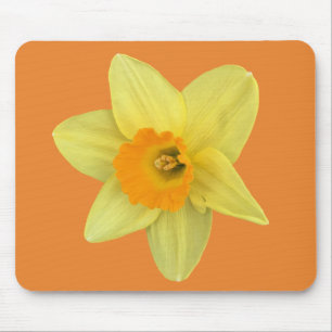 Gelbe Frühlingsdrossel Mousepad