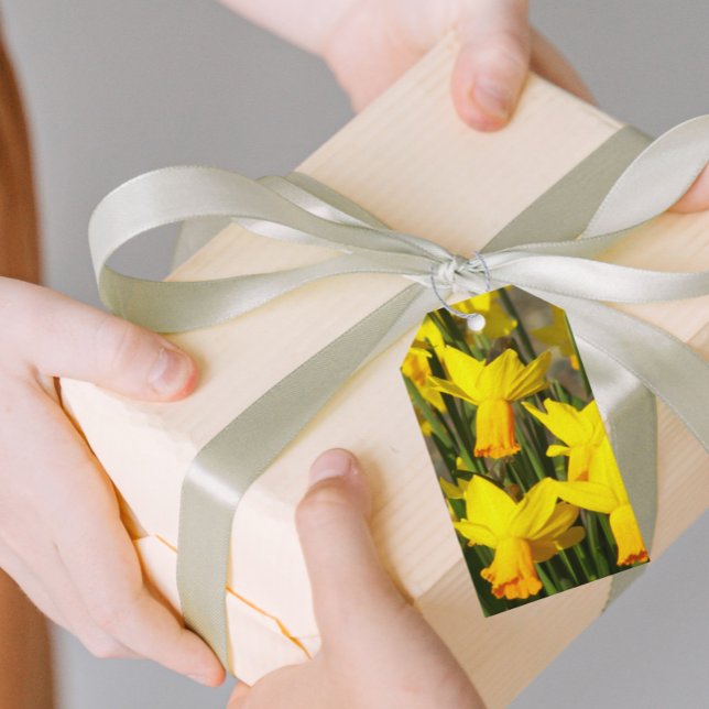 Gelbe Frühlingsdüster Geschenkanhänger (In Situ)