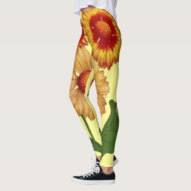 Gelbe Gaillardias-Blume Leggings (Links)