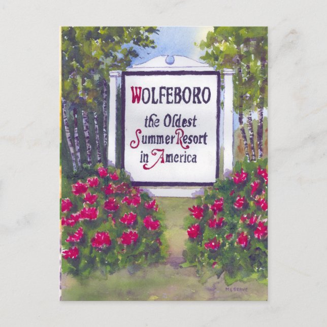 Gelbe Gänseblasen Postkarte (Vorderseite)
