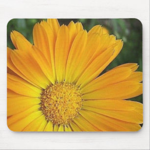 Gelbe Gänseblümchen-Mausunterlage Mousepad
