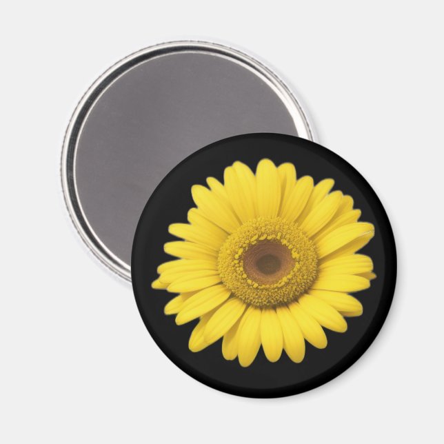 Gelbe Gänseblümchenblüten Magnet (Vorderseite/Rückseite)