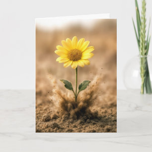 Gelbe Gänseblume, die aus dem Dreck sprießt, an Di Karte