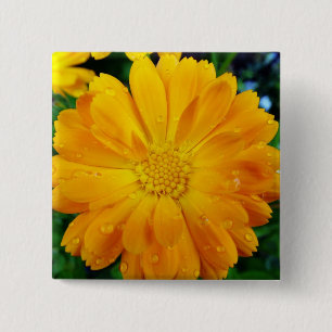 Gelbe Gänsehaut-Blume Button