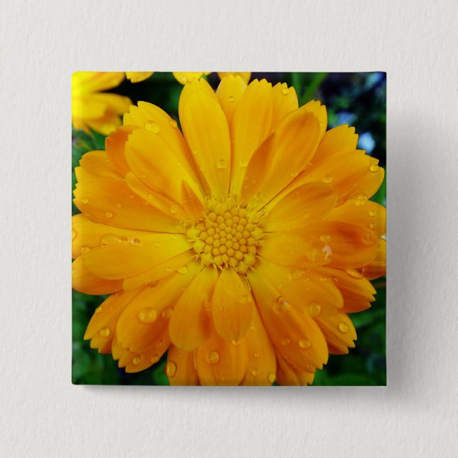 Gelbe Gänsehaut-Blume Button (Vorderseite)