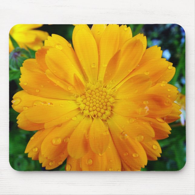 Gelbe Gänsehaut-Blume Mousepad (Vorne)