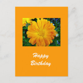 Gelbe Gänsehaut-Blume Postkarte