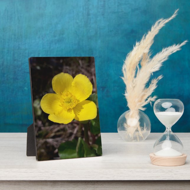 Gelbe Gartenanlage Blume Fotoplatte (Seite)
