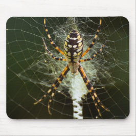 Gelbe Gartenspinne Mousepad