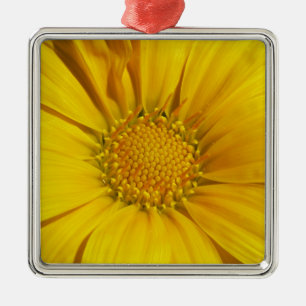 Gelbe Gazania Silbernes Ornament
