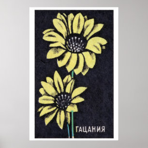 Gelbe Gazania - Streichholzschachtel-Druck - Ästhe Poster