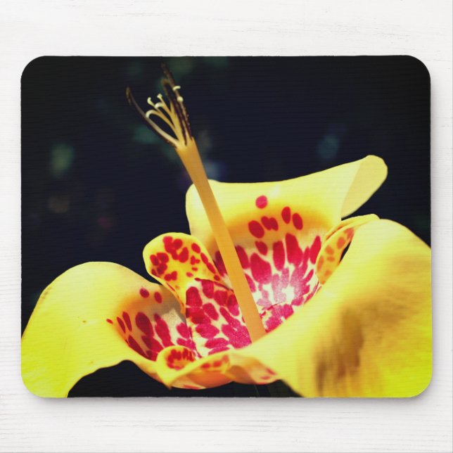 Gelbe Gepunktete Lilie-Blume Mousepad (Vorne)