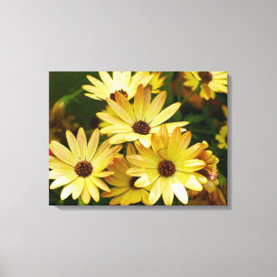 Gelbe Gerbera-Gänseblümchen-Blumen-Leinwand-Kuns Leinwanddruck