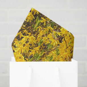 Gelbe glückliche Blüten Friedlicher Naturfrühling Seidenpapier
