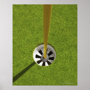 Gelbe Goldflagge Poster