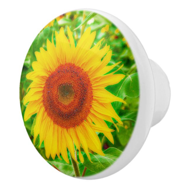 Gelbe grüne Blütenblume Keramikknauf (Rechts)