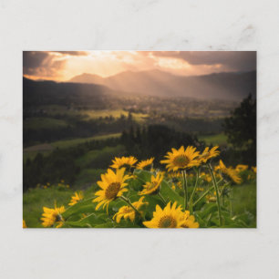 Gelbe Hardy Sonnenblume Kunst, Dichtung und Musik Postkarte