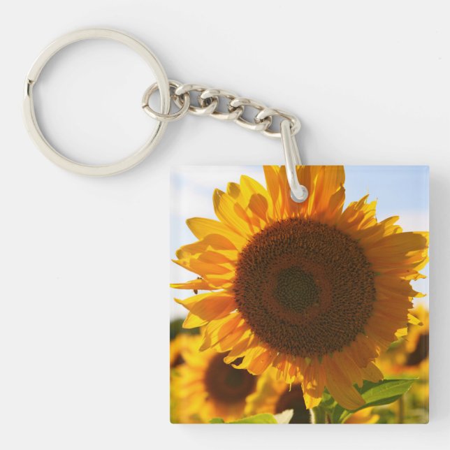 Gelbe Hardy Sonnenblume Kunst, Dichtung und Musik Schlüsselanhänger (Vorderseite)