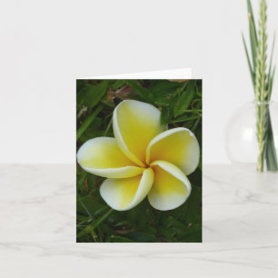 Gelbe Hawaiianische Plumeria Faltkarte Karte