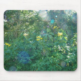 Gelbe hawaiische Wildblumen von Kauai Hawaii Mousepad
