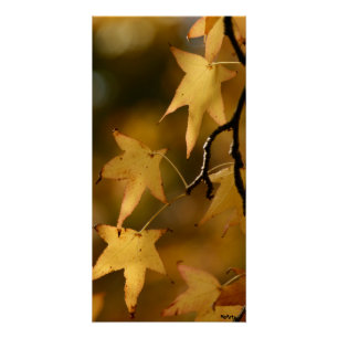 gelbe Herbstblätter Poster