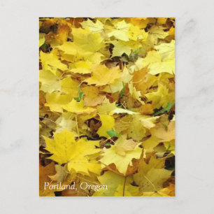 Gelbe Herbstblätter Postkarte