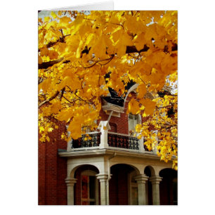 Gelbe Herbstblätter und alte Ziegelsteine