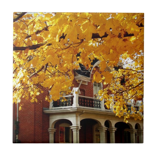Gelbe Herbstblätter und alte Ziegelsteine Fliese (Vorderseite)