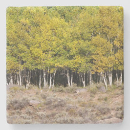 Gelbe Herbstlaube in Colorado, Stone Untersetzer