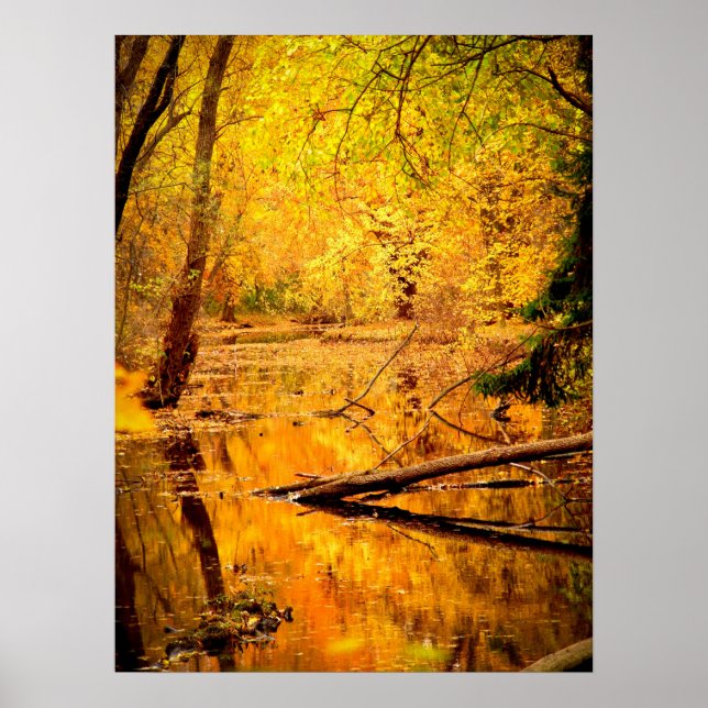 Gelbe Herbstwald Print Poster - Kunst-Mural (Vorne)