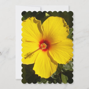 Gelbe Hibiskus Blume Einladung