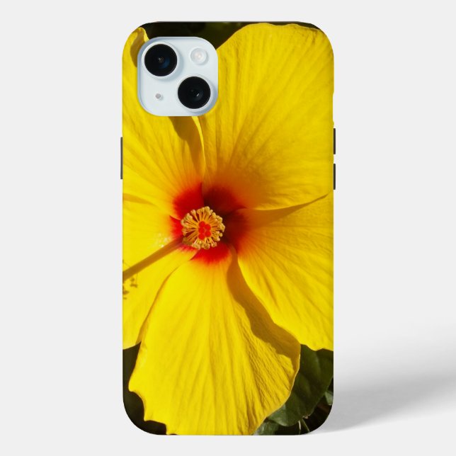 Gelbe Hibiskus Blume iPhone 15 Mini Hülle (Rückseite)