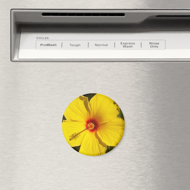 Gelbe Hibiskus Blume Magnet (In Situ (Geschirrspüler))