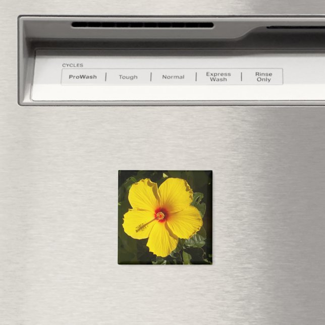 Gelbe Hibiskus Blume Magnet (In Situ (Geschirrspüler))
