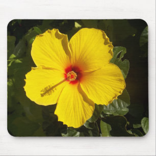 Gelbe Hibiskus Blume Mousepad