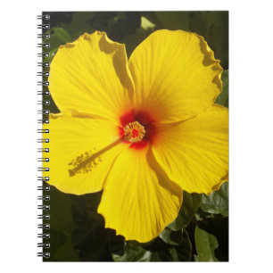 Gelbe Hibiskus Blume Notizblock