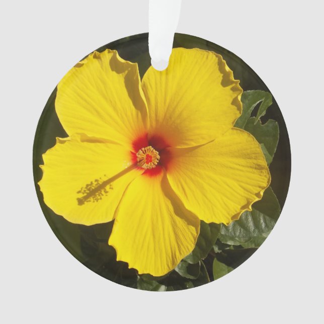Gelbe Hibiskus Blume Ornament (Vorderseite)
