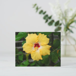 Gelbe Hibiskus Blume Postkarte