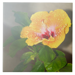 Gelbe Hibiskus Blume Tile Fliese