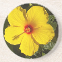 Gelbe Hibiskus Blume
