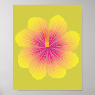 Gelbe Hibiskus_Illustration Poster